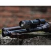 Dobermann__Gun_5_