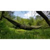 Hammock-ZEN-olive_lynxgear1lv